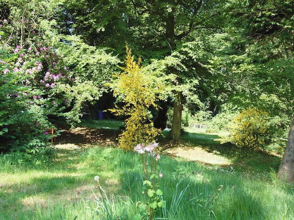 A lush garden with various trees and flowering plants. - A delightful courtyard setting in the beautiful Eden Valley. (near Lazonby)