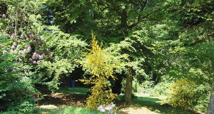 A delightful courtyard setting in the beautiful Eden Valley.
