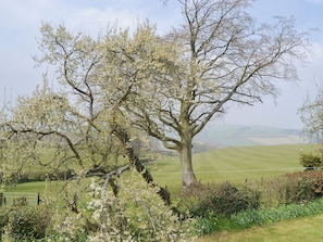 Uklassifisert bilde, 3 av 4, knapp