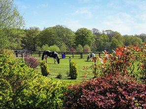 Miscellaneous - 2 bedroom accommodation in Knitsley, near Lanchester (Knitsley, near Lanchester)