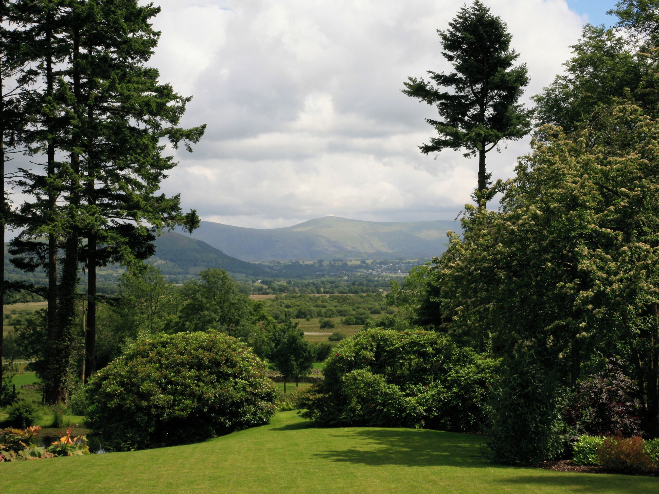 A lush green landscape with a variety of trees and a distant mountain range.