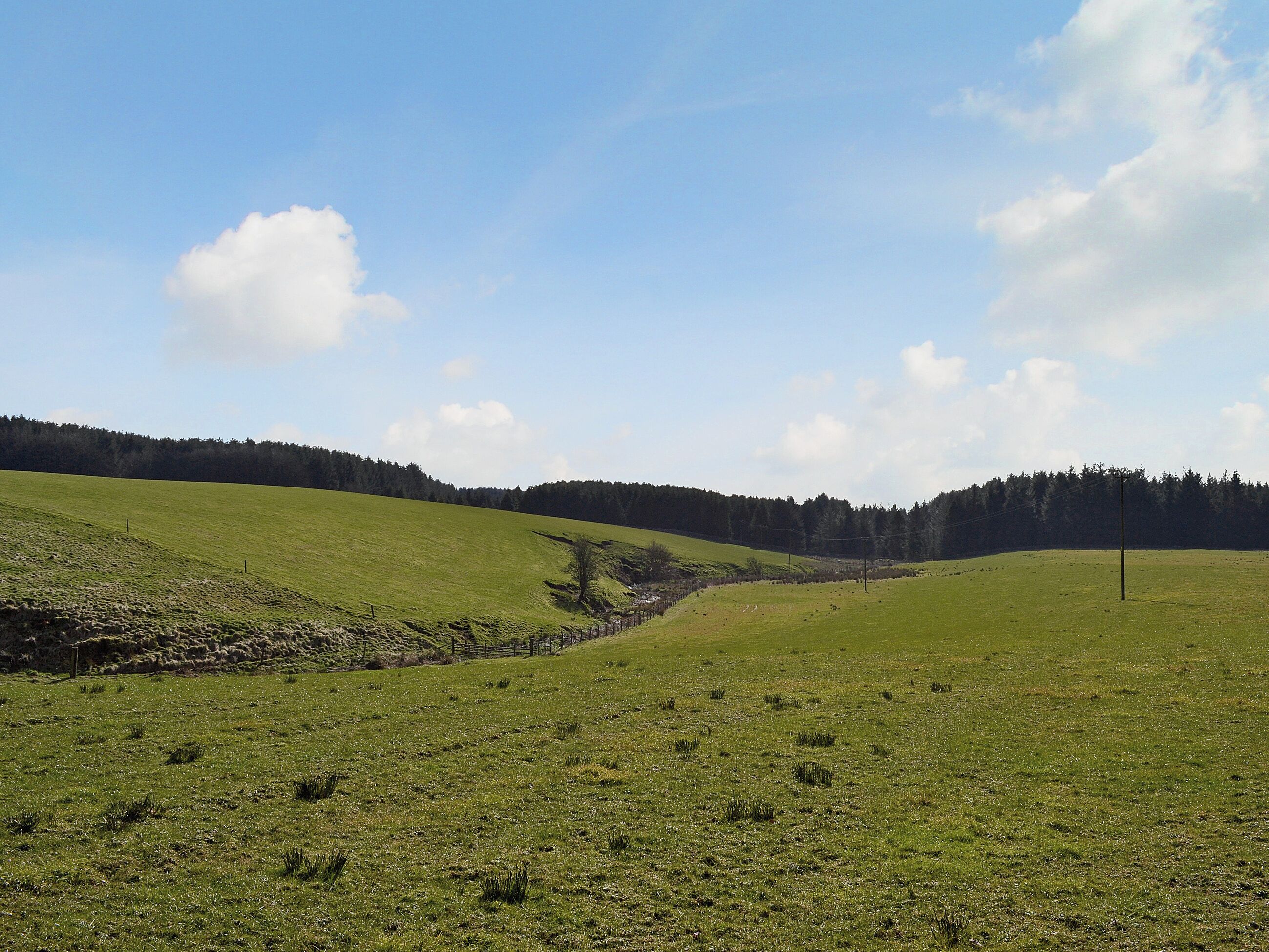 A rural landscape with rolling green hills, a narrow valley, and a forested hill in the background.