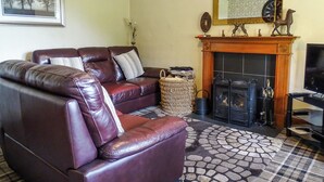A living room with a fireplace, a sofa, a television, and a rug. - Blaeberry Cottage - 28061 (Near Lockerbie)