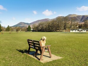 Property grounds - Fully modernised Lakeland cottage with private parking. (Keswick)