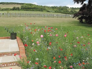 Property grounds - 2 bedroom accommodation in East Brabourne, near Ashford (East Brabourne, near Ashford)