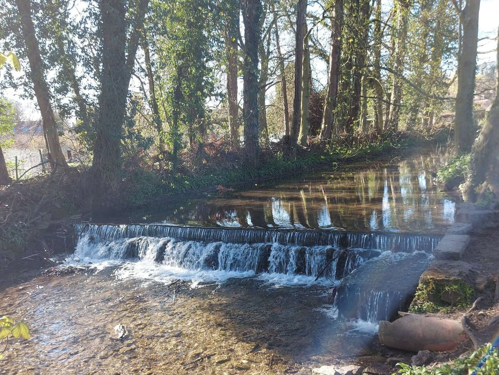 A small waterfall in a forested area with clear water and surrounding trees.