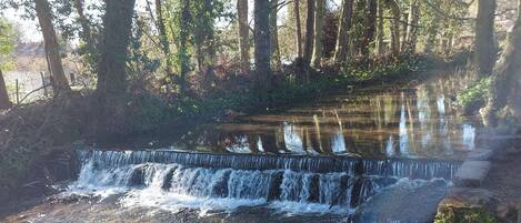 A small waterfall in a forested area with clear water and surrounding trees.