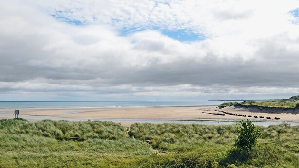 Ein Strand mit einer grünen Wiese im Vordergrund und blauem Himmel.