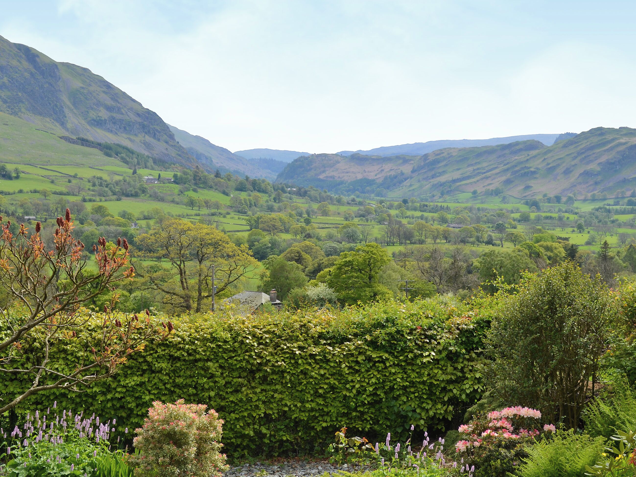 A valley with rolling hills, dense greenery, and a variety of trees.