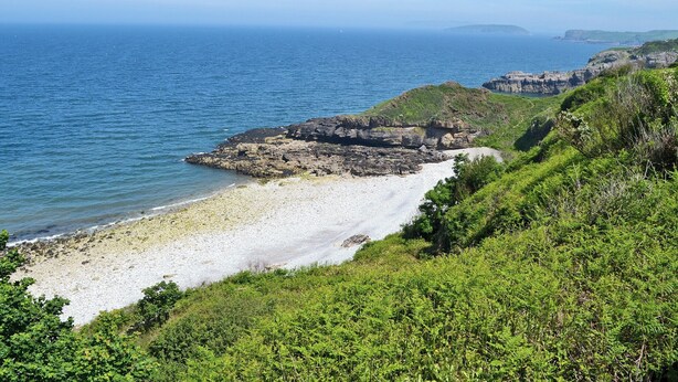 A coastal landscape with a rocky shoreline, a sandy beach, and lush greenery. - 3 bedroom accommodation in Llangoed, near Beaumaris (Llangoed, near Beaumaris)