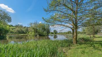 Eine friedliche Seenlandschaft mit einem großen Baum, üppigem Grün und blauem Himmel.