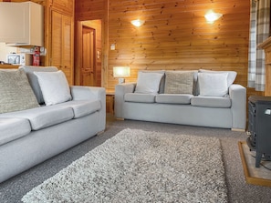 A cozy room with two grey sofas, a grey shag rug, wooden walls, a small table with a lamp, and a black cabinet. - 3 bedroom accommodation in Keswick (Keswick)
