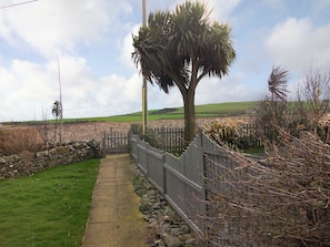 A rural pathway with a stone wall, a wooden fence, and a palm tree. - Delightful cottage overlooking Luce Bay, with open fire and enclosed garden. (Drummore, near Stranraer)