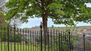 Un parque con una cerca metálica, un árbol grande y una vista de un pueblo al fondo.