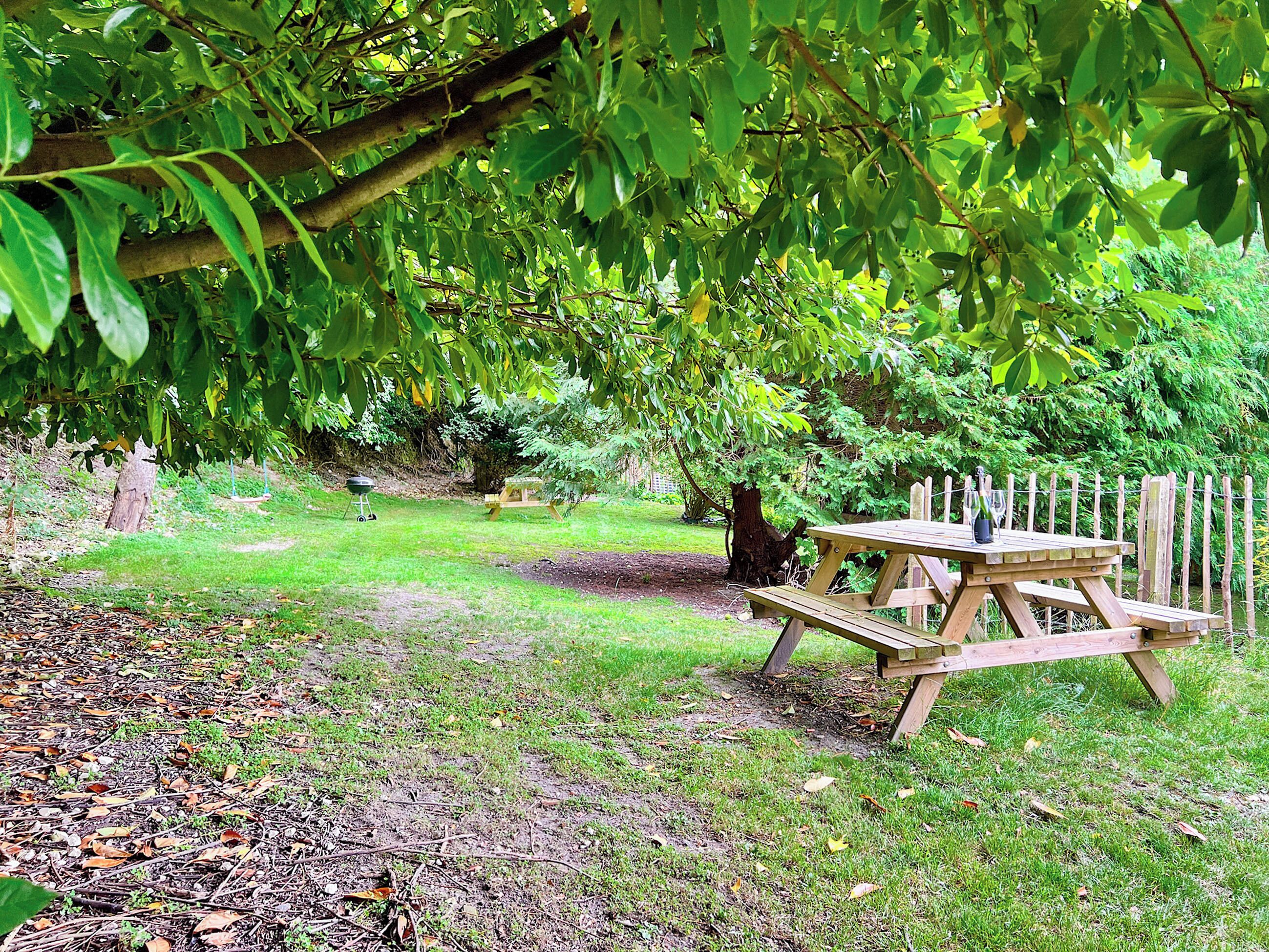 A picnic table under a tree in a park.