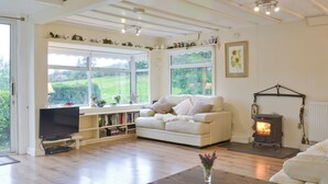 A cozy living room with a sofa, a fireplace, a bookshelf, and a television. - 3 bedroom accommodation in Easthope, near Much Wenlock (Easthope, near Much Wenlock)