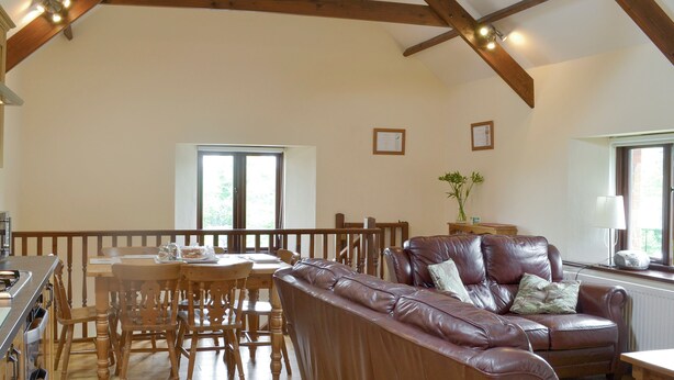 A spacious living area with a wooden dining table, leather sofa, and a kitchen area with wooden cabinets.