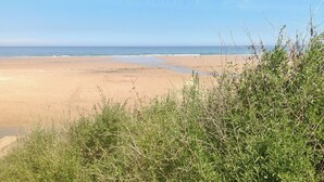 En strand med sand, vatten och gles vegetation.