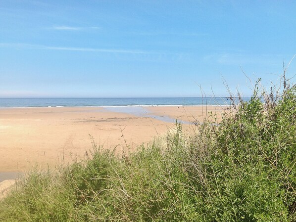 A beach with sand, water, and sparse vegetation.