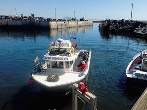 Unclassified image, 4 of 22, button