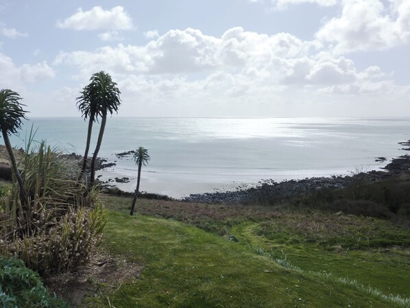 Un paysage côtier avec des palmiers, une zone herbeuse et une vue sur la mer.