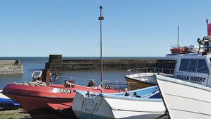Ein Hafen mit mehreren vertäuten Booten, darunter ein rotes Boot namens 'ARION' und ein weißes Boot namens 'WILLIAM ROBERT'.