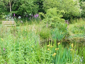 A garden with a pond, dense greenery, and a wooden bench.