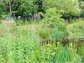 Terrain de lâhĂ©bergement