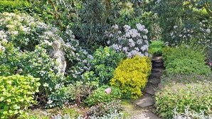Un jardin agrémenté de diverses plantes, d’un sentier en pierre et d’une statue.