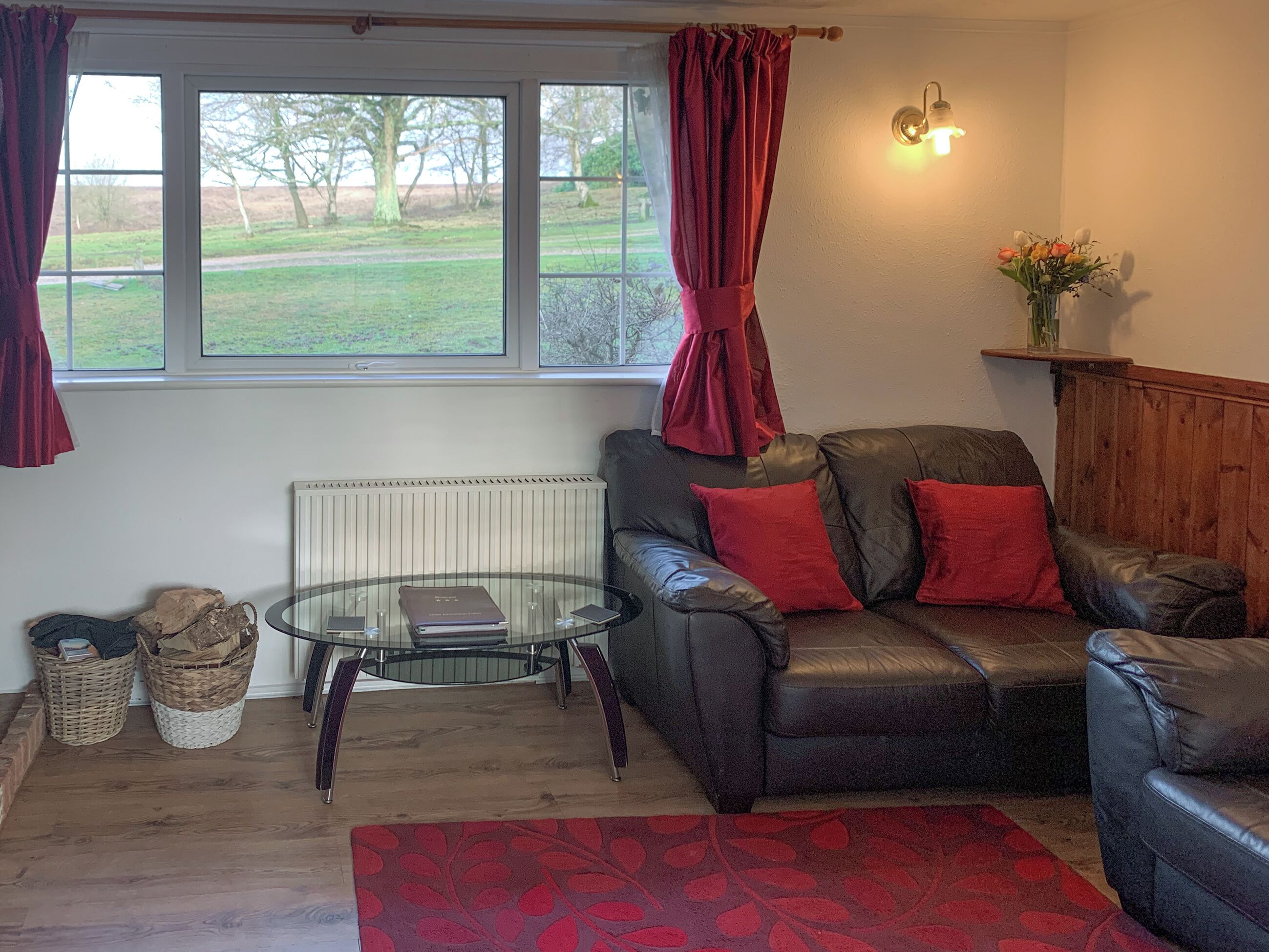 Een woonkamer met een leren bank, een glazen salontafel, een rood vloerkleed, een radiator, rieten manden en uitzicht op een groen landschap door het raam.