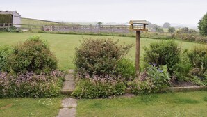 Un paysage rural avec un sentier de pierres qui traverse un jardin où poussent des plantes en fleurs, et un panneau indicateur en bois.