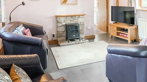 Uma sala de estar com dois sofás de couro, uma lareira de pedra, uma televisão sobre um móvel de madeira e um radiador.