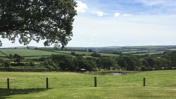 A grassy field with a fence and a small pond.
