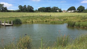 A serene pond with a wooden dock, surrounded by lush greenery and a clear sky.