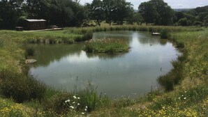 A pond surrounded by lush greenery and wildflowers.