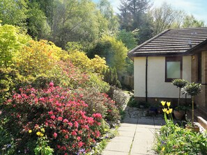 المنطقة المحيطة بالمنشأة