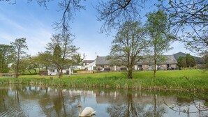 Ein friedlicher Teich mit einem Schwan, umgeben von üppigem Grün und einem Gebäude mit einem geneigten Dach.
