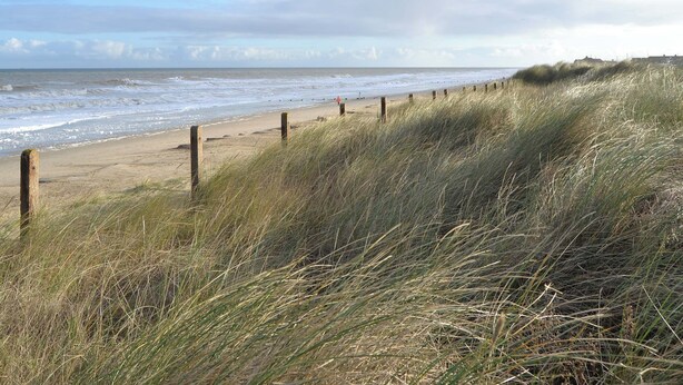 A beach with a wooden fence and grassy dunes. - 1 bedroom accommodation in Cantley, near Acle (Cantley, near Acle)