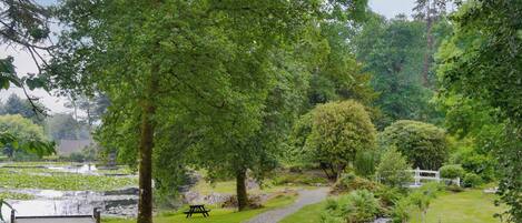 Jardines del alojamiento