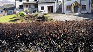 A residential area with houses, a driveway, and a garden. - 1 bedroom accommodation in Thornthwaite, near Keswick (Thornthwaite, near Keswick)