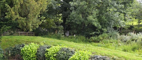 A lush garden with various shrubs and trees, a wooden fence, and a well-maintained lawn.