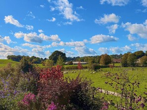 A rural landscape with a clear sky, green fields, and a few scattered trees. - Castle House Cottage (Horton, near Wimborne)