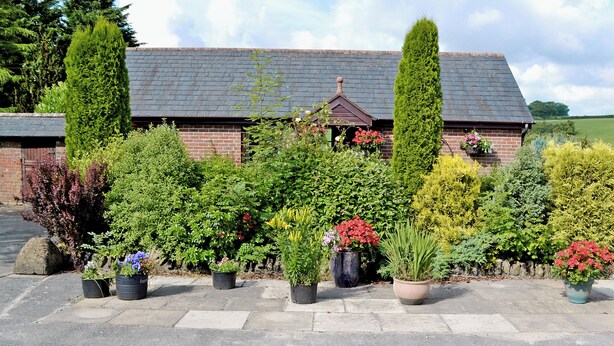 A brick building with a sloped roof, surrounded by various potted plants and shrubs. - 1 bedroom accommodation in Evershot (Evershot)