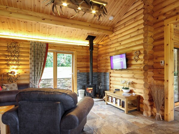 Fernseher, Kamin