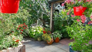 Een tuin met verschillende planten in potten en een houten pergola.