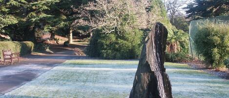 المنطقة المحيطة بالمنشأة