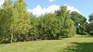 Un campo cubierto de hierba con árboles y cielo despejado.
