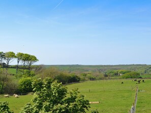 A rural landscape with a fenced pasture, trees, and a clear sky.