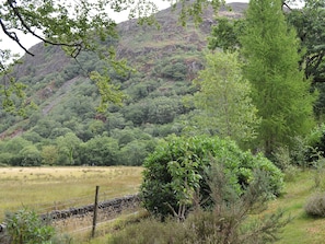 Un paisaje rural con un muro de piedra, vegetación densa y una montaña al fondo.