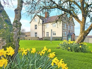 A two-story building with a stone facade, a grassy lawn, and daffodils in the foreground.